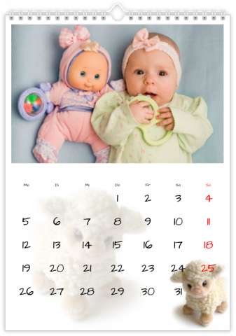 Fotokalender A4 Staand Pluchen