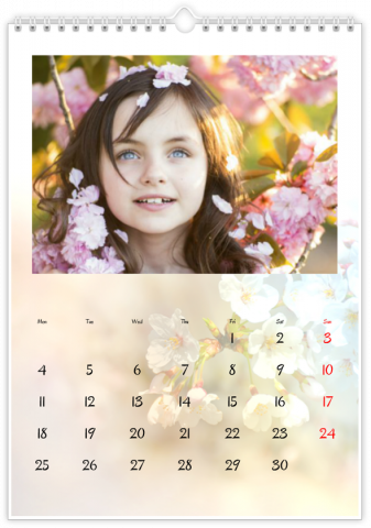 Photo Calendar 20x30 (A4 Portrait) Seasons