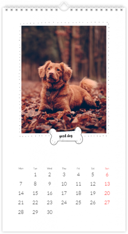 Photo Calendar 32,5x60,5 (XL) A Calendar with a Dog