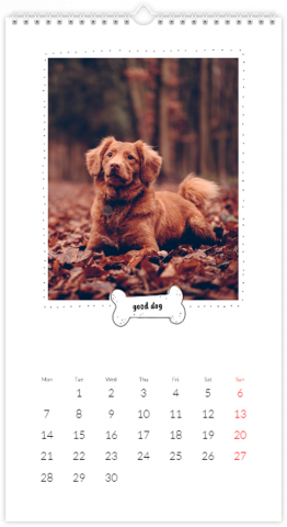 Fotocalendario XL Fotocalendario con perrito