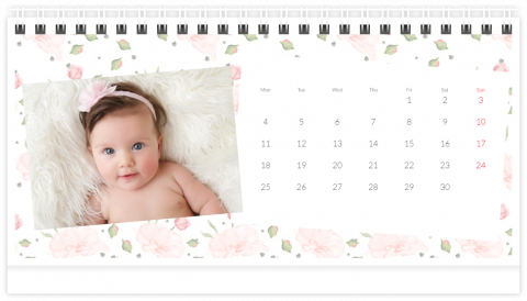 Tischkalender 21x12 (A5) Rosenkalender