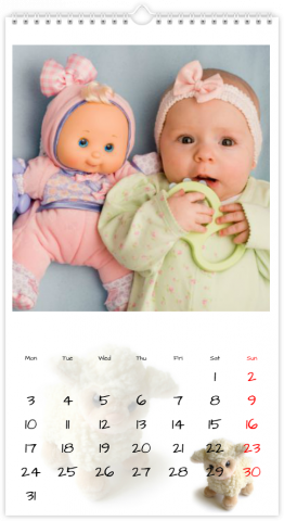 Photo Calendar 32,5x60,5 (XL) Plushies