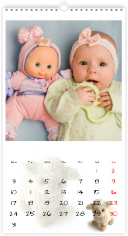 Fotocalendario XL Peluche