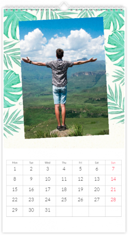 Photo Calendar 32,5x60,5 (XL) Holiday Monsteras