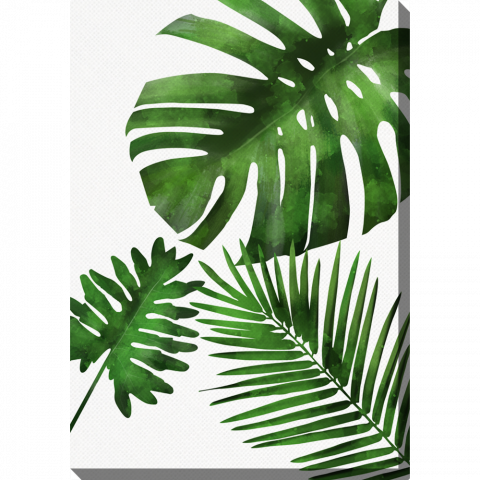  Vertical Palm Leaves