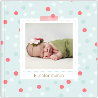 Álbum De Lujo 15x15 El color menta