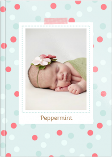 Starbook A4 Portrait 