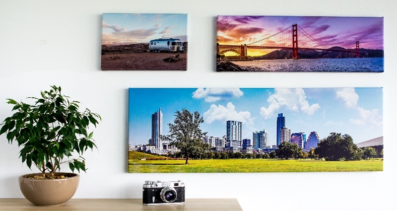 Collection of three landscape canvases on the wall hanging next to a bookshelf and a flower