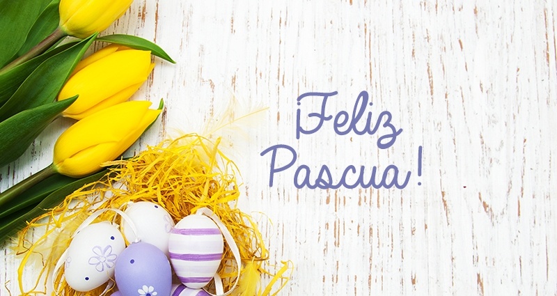 Los huevos de Pascua de color violeta-blanco en nido de rafia, al lado tulipanes amarillos sobre fondo claro. En el centro de fotografía inscripción ''¡Feliz Pascua!''