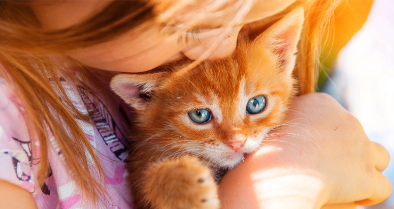 Een vrouw poseert met haar kat voor een foto in een gepersonaliseerd kattenfotoalbum