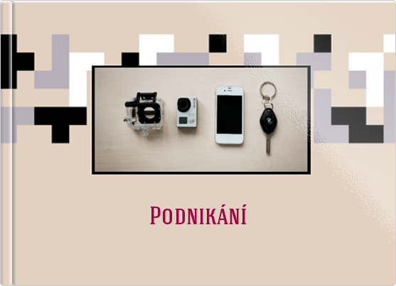 Levně Podnikání