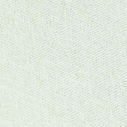 Leinen Salbei<br/>300 Stk.